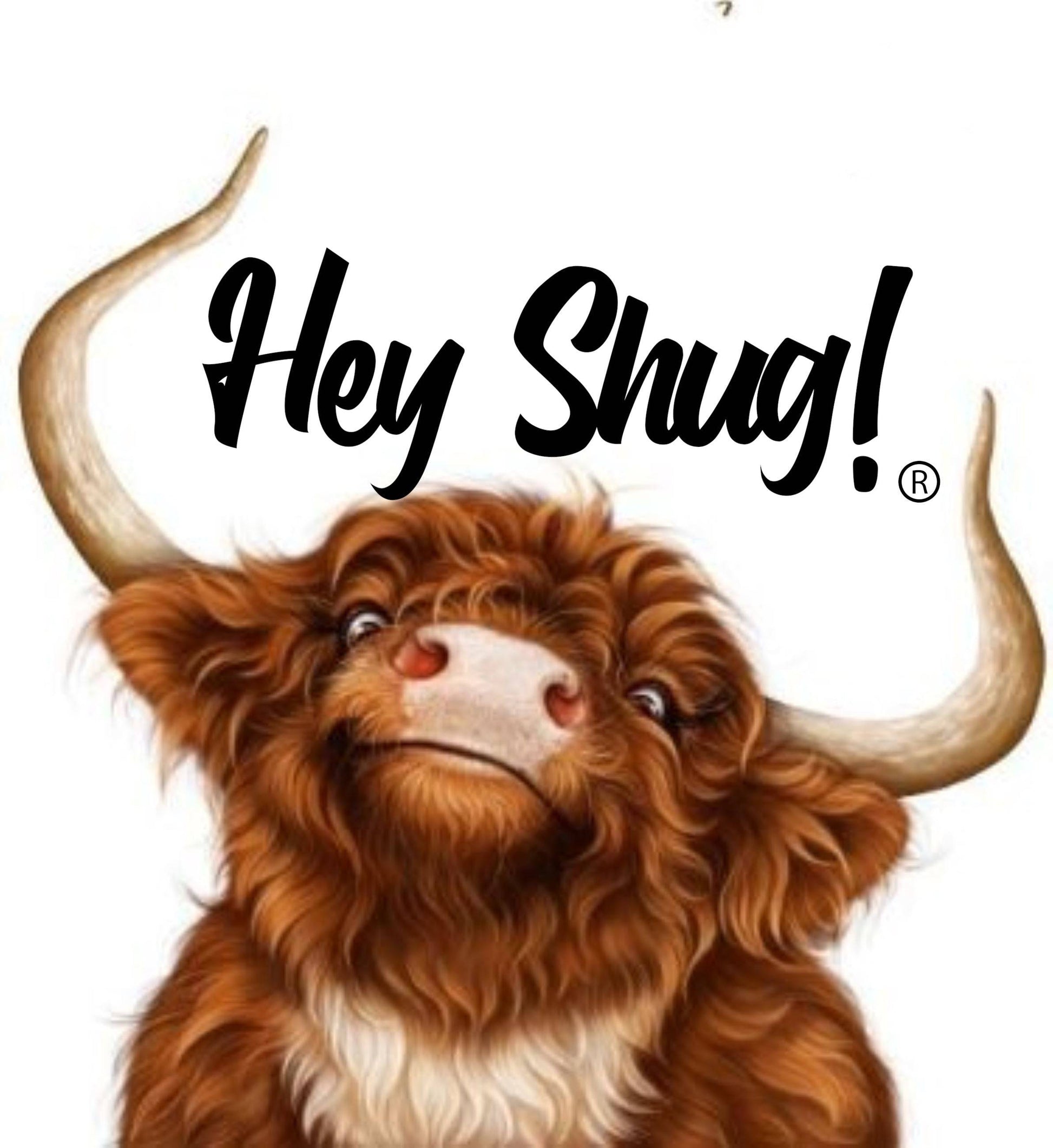 Hey Shug!(R)  Highland Cow Long Sleeve Comfort Unisex T-shirt - Top Drop Viral